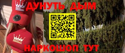 шишки Будённовск