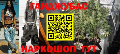 шишки Будённовск
