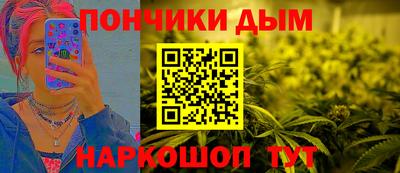 шишки Будённовск