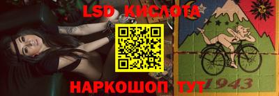 шишки Будённовск