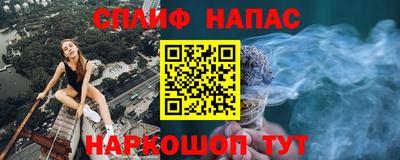 шишки Будённовск