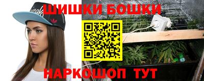 шишки Будённовск