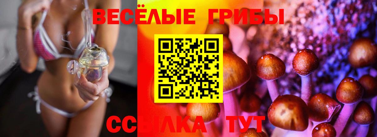 Псилоцибиновые грибы мицелий Нарткала